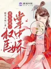 重生后成了权臣掌中娇 宋