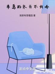 半岛的冬天不太冷全文免费阅读