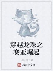 穿越龙珠之赛亚圣人
