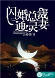 闪婚总裁疼妻入骨免费全文阅读