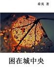 困在城中央 主要讲什么