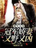 重生九零冠军娇妻又野又凶全文免费