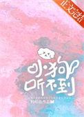 小狗听不到作者杨明夜