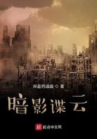 暗影谍云我来读