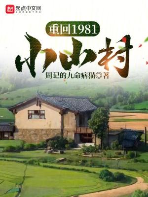 重回1981小山村免费