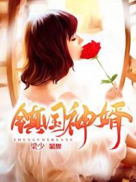 镇国神婿大结局