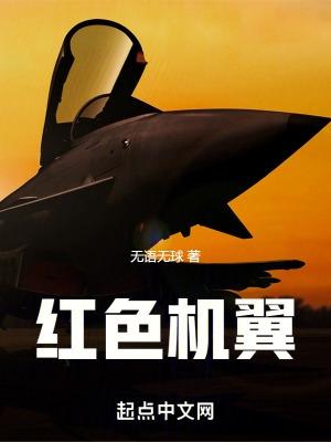 飞机机翼红色的是哪家航空公司的