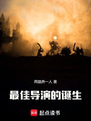 最佳导演的诞生无防盗