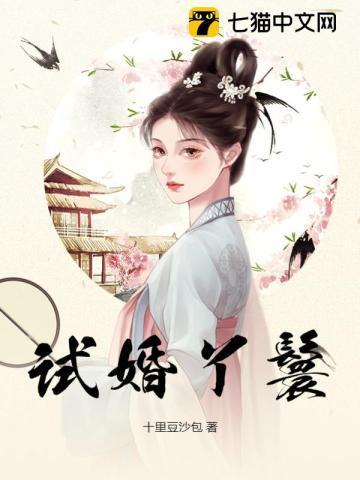 试婚丫鬟大结局