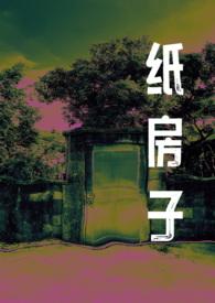 纸房子是什么意思