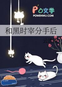 论与黑时宰he的可能性 ...