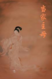 重生之当家恶妾