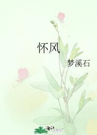 怀风祝灵免费阅读