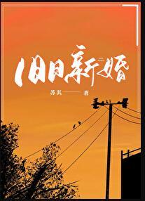 旧日新婚免费阅读全文