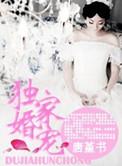 独家婚宠TXT