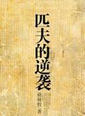 匹夫的逆袭无弹窗