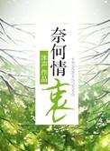 奈何情深的前一句是什么